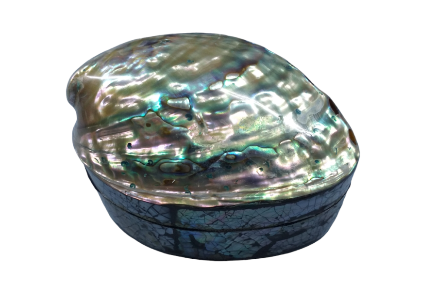 CAJA SHELL IRIS PAWA 12cm