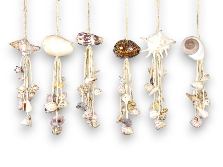 DECO CUERDA TRENZ SHELL 25cm 6 mod. pack 12