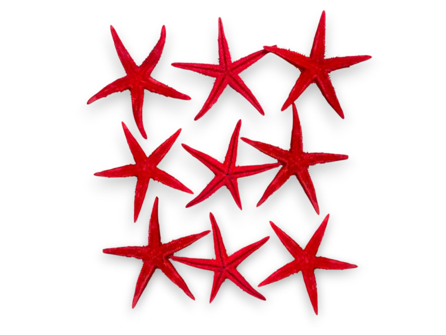 BOLSA E.FLAT ROJA 08-10cm bolsa 25