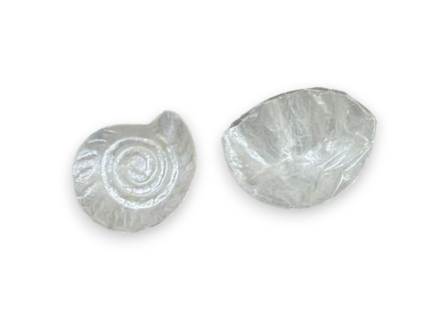 PLATOS CAPIZ COMBI (nautilus,tridagna) 15cm pack 6