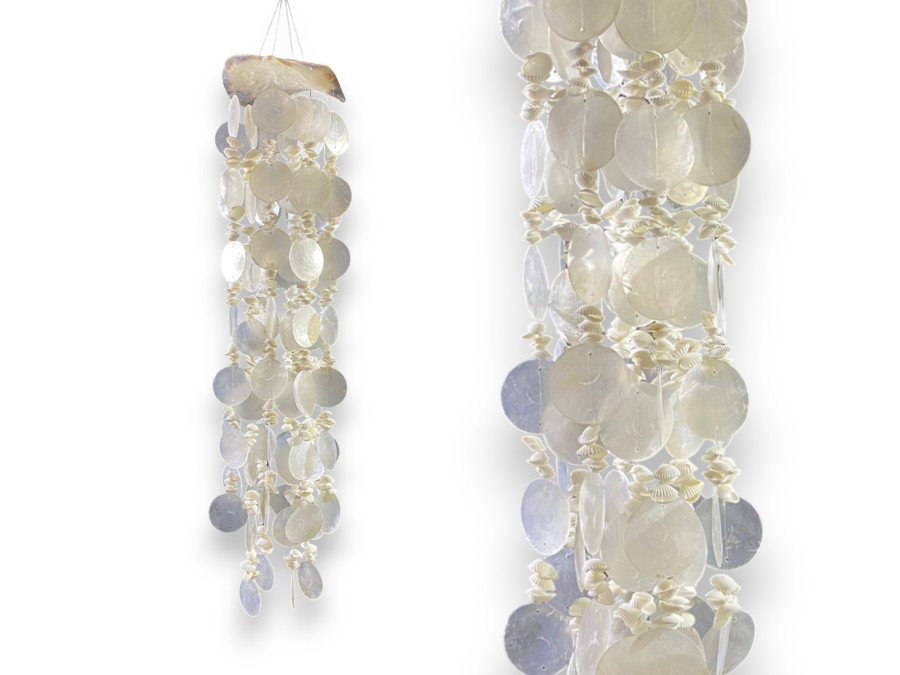 OSTREA 13cm CAPIZ BLCO.+CLAM ROSE 60cm