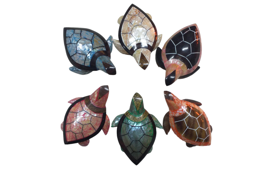 TORTUGA SHELLS 6 COLOR 08cm pack 12