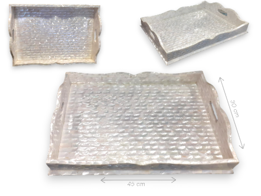 BANDEJA MOP ASAS 45x30cm