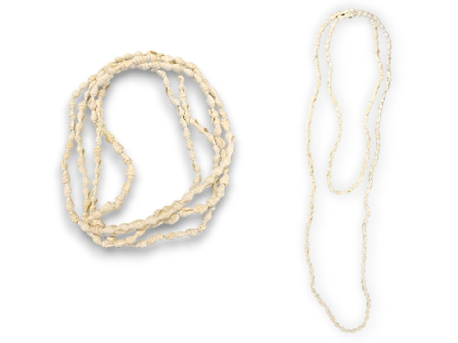 C.O-2244 NASSA BLCA 150cm pack 12