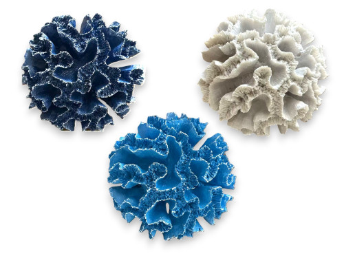 CORAL RESINA 20x09cm 3 COLORES Pack 2