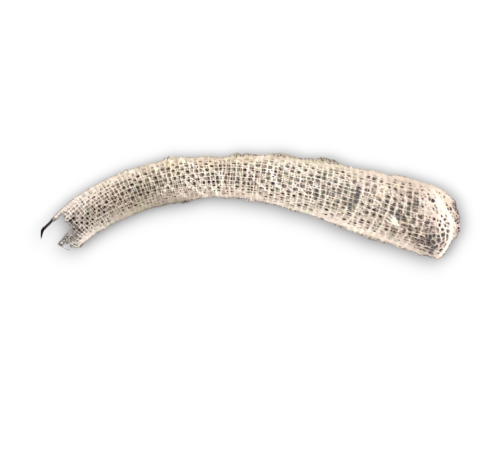 VENUS FLOR BASKET 20cm