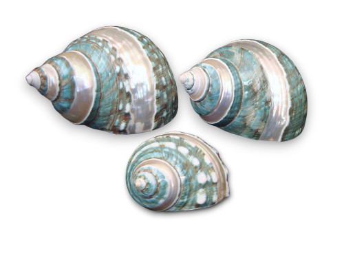 TURBO BANDET IMPERIAL