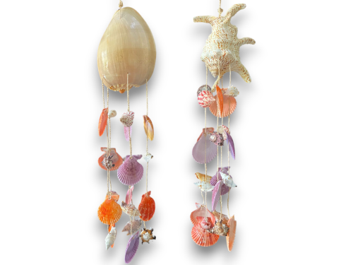 CHIRAGRA-MELO VERTICAL pack 6