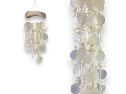 OSTREA 13cm CAPIZ.+CLAM ROSE 30cm (pack4)